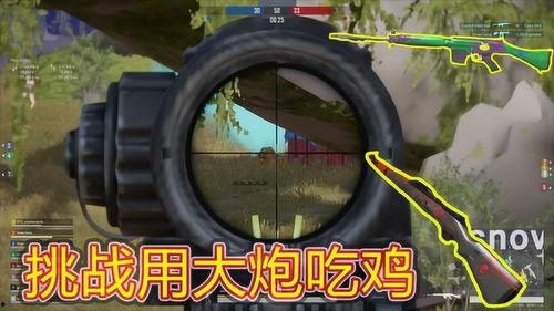 大炮鸡视频,揭秘网络红人的爆笑日常