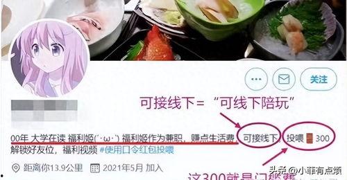 福利姬 视频,揭秘网络红人的魅力与影响力