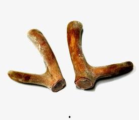 干鹿茸怎么切片方法视频,视频教程详解