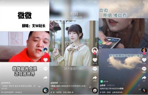 微小视频,微小视频背后的故事